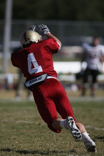mk体育现在-全国青少年跳水锦标赛在深圳火热进行，全国青少年跳水比赛