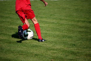 mk体育入口-冬奥场馆智能系统协助运动员热身训练，冬奥会设备