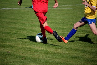 MK在线服务-国家队与俱乐部之间协调机制为何不顺畅，国家队比赛和俱乐部比赛冲突