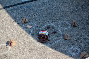 MKSPORTS-新闻中心动态汇总客户满意度调研报告展现品牌全新形象，请简述客户满意度调查的主要活动及工作流程